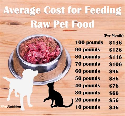 Dog Food Cost Comparison