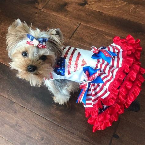 Dog Fourth of July dress pattern