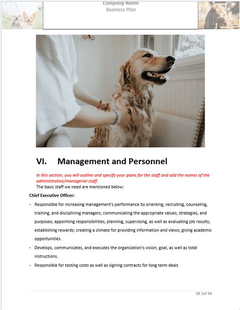 Dog Grooming Business Plan Template Google Docs