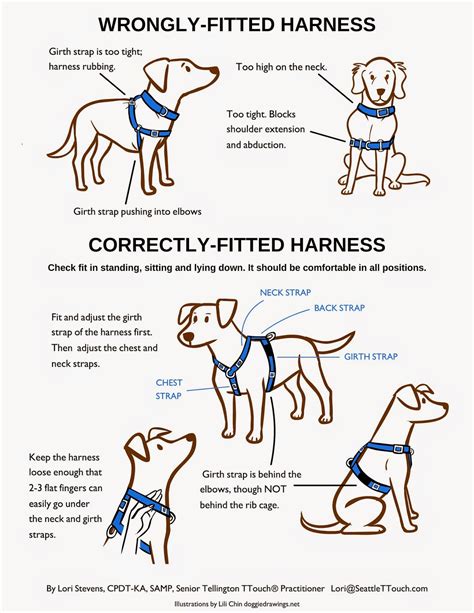 Dog Harness Benefits