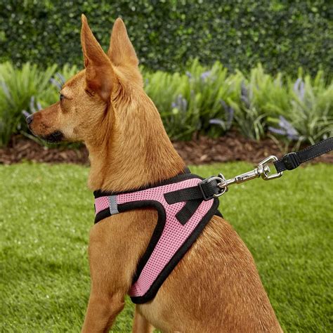 Dog Harness Designs