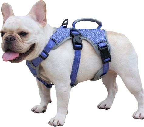 Dog Harness Materials