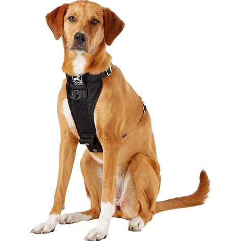 Dog Harness Types