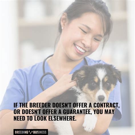 Dog Health Guarantee