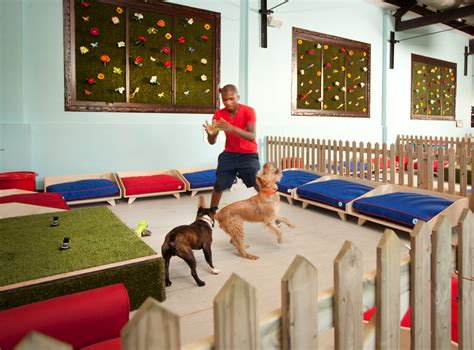 A photo of a dog hotel