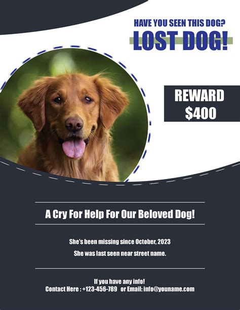 Dog lost flyer template with a detailed description and contact information