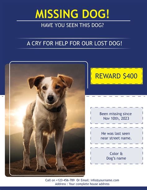 Dog Missing Flyer Template 10