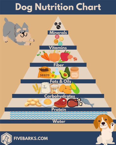 Dog Nutrition and Diet