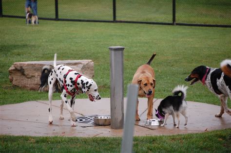 A photo of a dog park