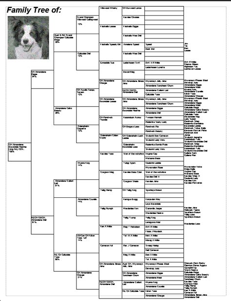 Dog Pedigree Template 10