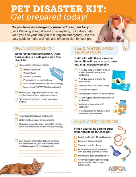 Dog Safety and Emergency Preparedness