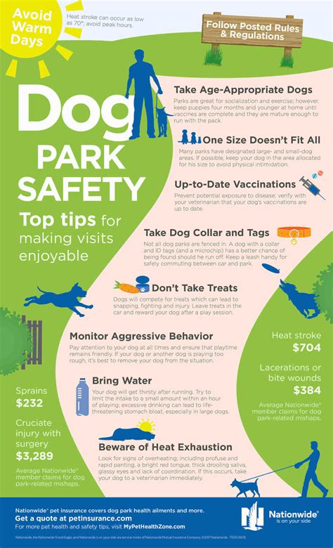 Dog safety precautions