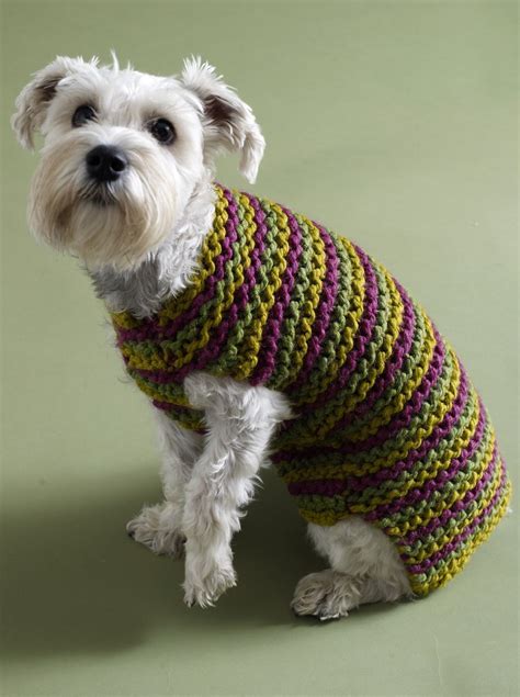 Dog sweater vest pattern