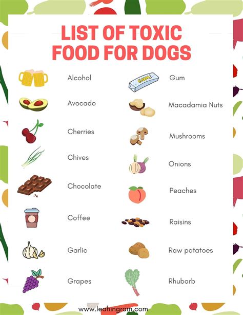 Foods high in sugar and fat can be toxic to dogs