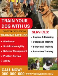 Dog Training Flyer with Images