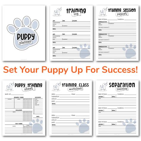 Dog training worksheets on a laptop