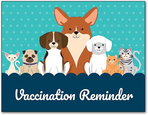 Dog vaccination reminder