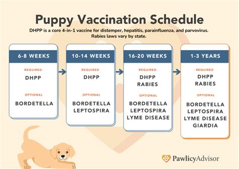 Dog vaccination schedule