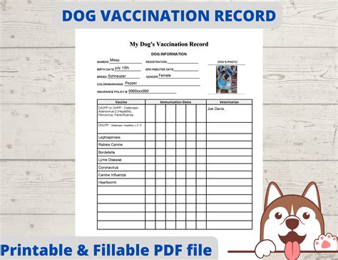 Dog Vaccine Record Template