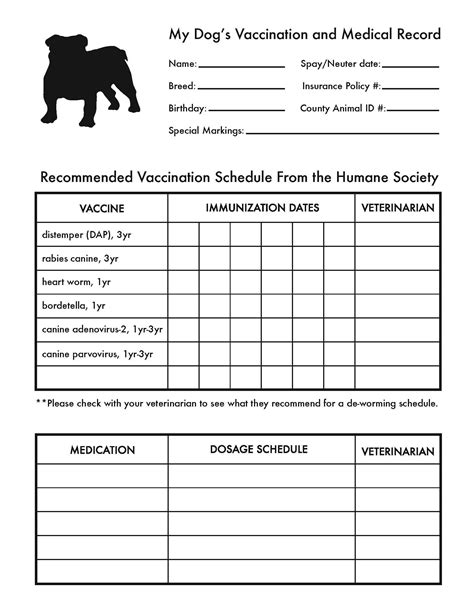 Dog Vaccine Record Template 1