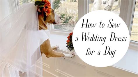 Dog wedding dress pattern