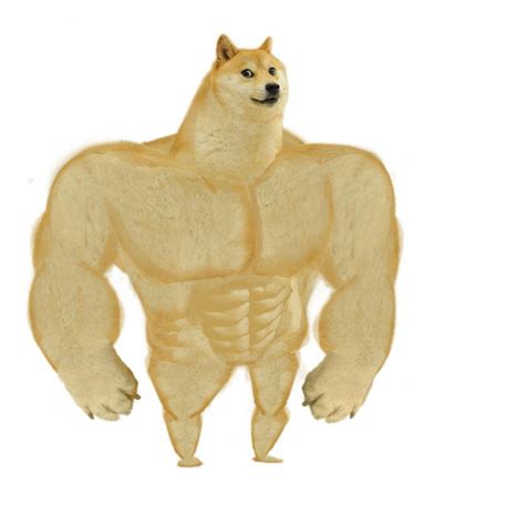 Doge meme template