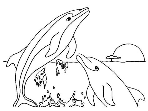 Dolphin coloring pages with various designs and patterns