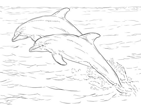 Realistic dolphin coloring page with detailed design