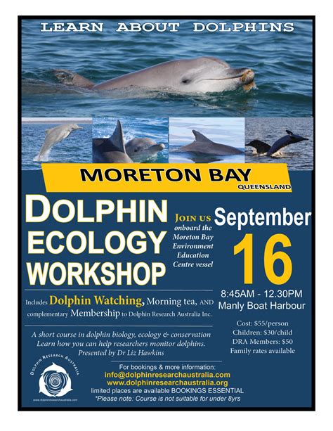 Dolphin ecology studies