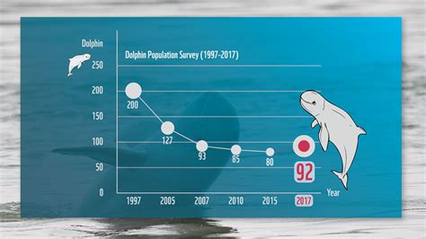 Dolphin population trends