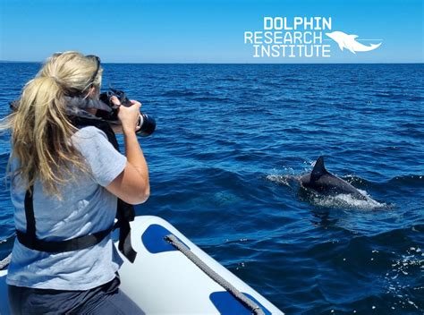 Dolphin research and science