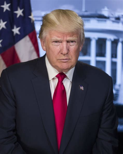 Donald Trump Presidential Portrait