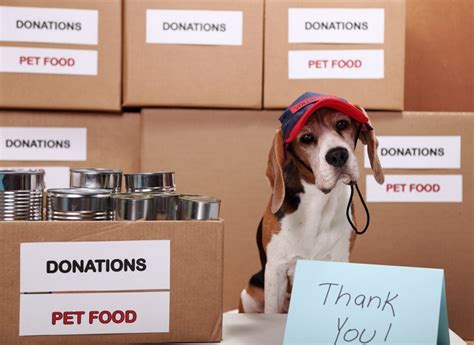 Donating to animal rescue organizations in Greensboro, NC