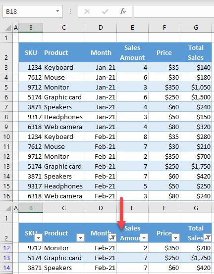 Double Filter Excel Tutorial