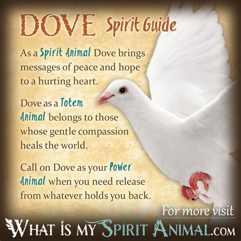 Dove Symbolism Meaning