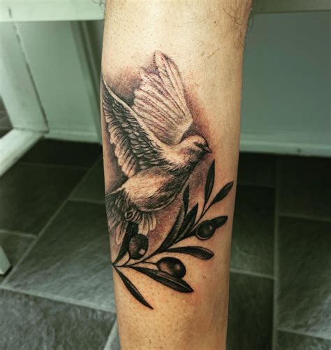 Dove with olive branch tattoo