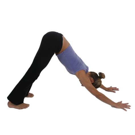 Downward-Facing Dog Pose