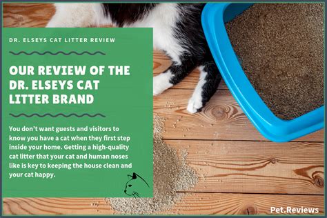 Dr. Elsey's Precious Cat Ultra Premium Clumping Cat Litter Coupon Gallery