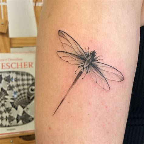 Dragonfly tattoo design