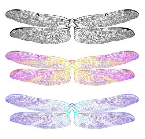 Dragonfly wings template 3