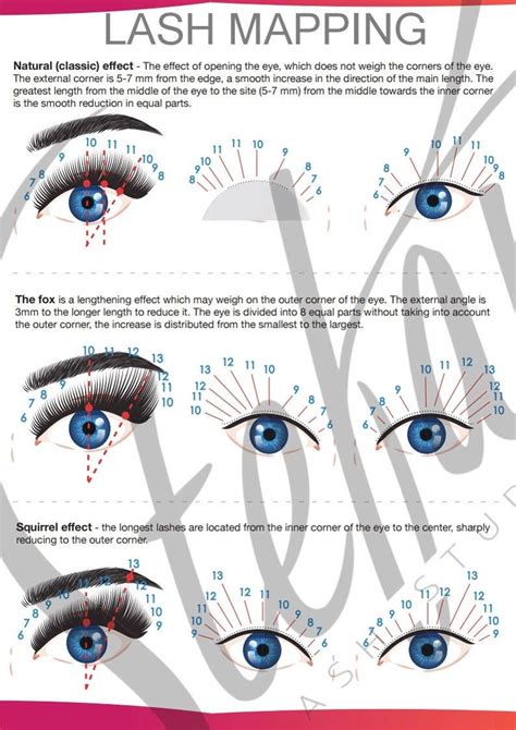 Dramatic Lash Template