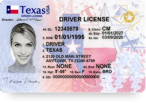 Driver's License