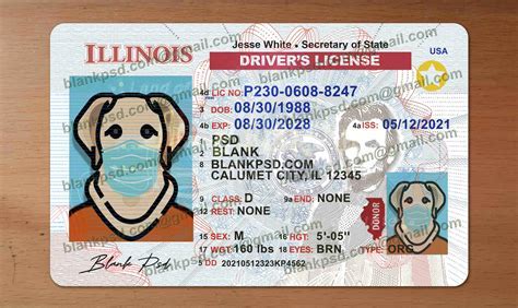 Driver's License Template Resources