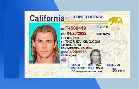 Driver License PSD Template Download