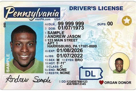 Driver License Security