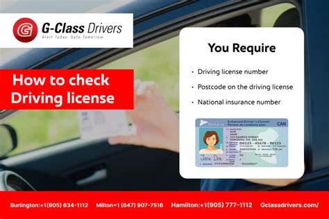 Driver License Status Online