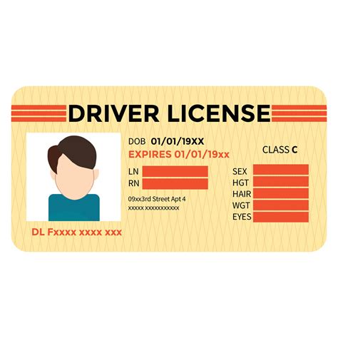 A person holding a driver's license template