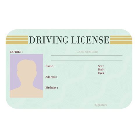 Driver's License Template Design