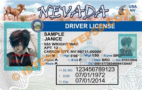 Driver License Template Design PSD