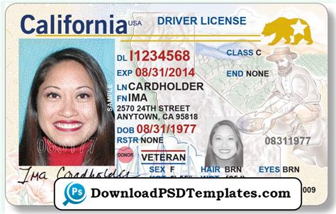 driver license template psd free download